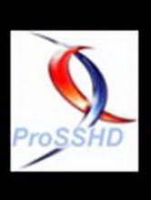 prosshd (ssh-сервер/клиент для windоws), 1.2